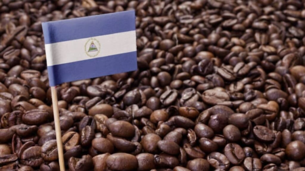 豊かな風味を生むニカラグアコーヒーの焙煎度の選び方